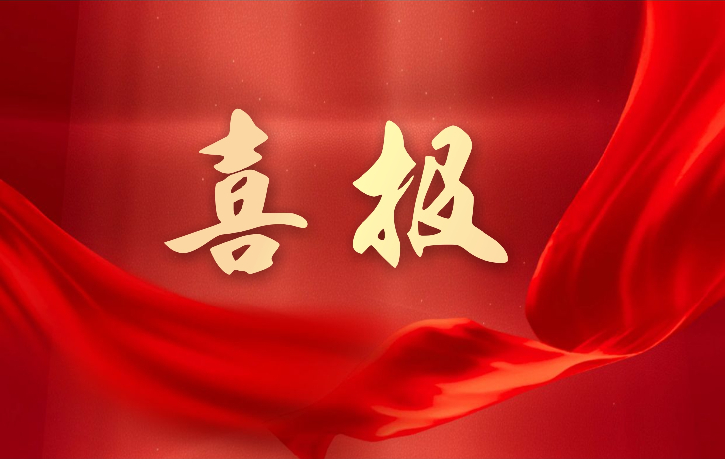 營(yíng)收凈利雙增長(zhǎng)！依頓電子2025年一季度經(jīng)營(yíng)業(yè)績(jī)續(xù)寫高質(zhì)量發(fā)展華章
